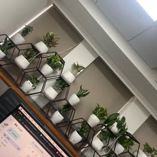 beast carter — creator on Fancall