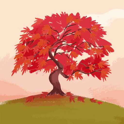 Divit Gaur — Education & Career creator on Fancall