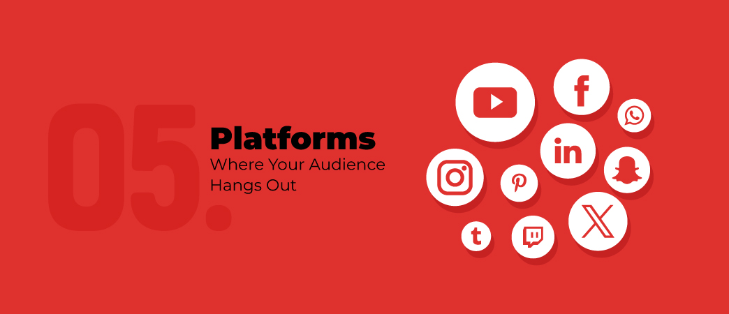 Platforms---Where-Your-Audience-Hangs-Out